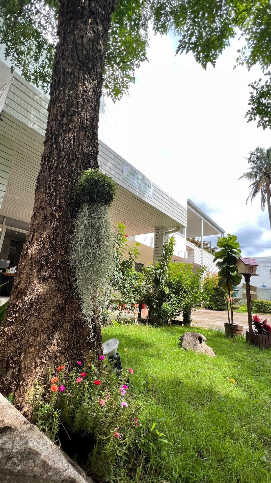 Udee Cozy Hotel Chiang Mai Exterior foto